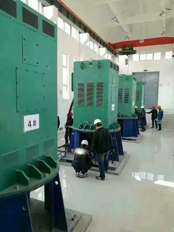 惠阳某污水处理厂使用我厂的立式高压电机安装现场安装尺寸