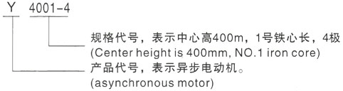 西安泰富西玛Y系列(H355-1000)高压惠阳三相异步电机型号说明
